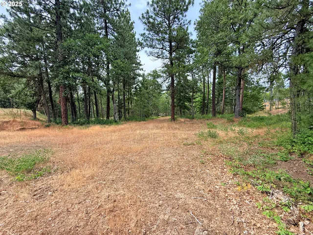 a view of outdoor space with trees all around