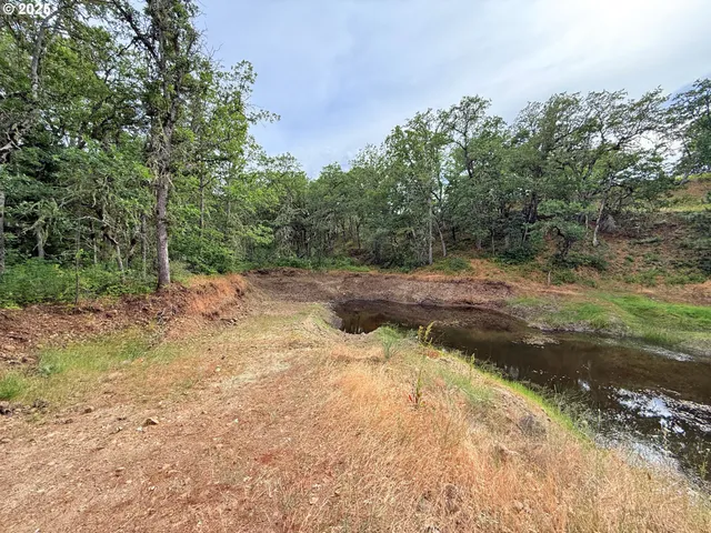 a view of a yard with trees
