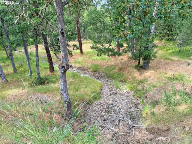 a view of a yard with a tree