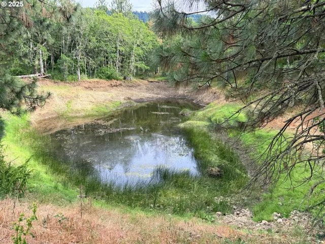 a backyard of a house with lots of green space