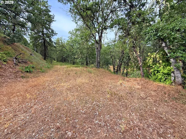 a view of an outdoor space with trees