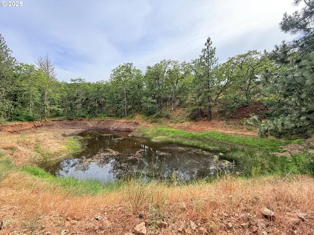 a backyard of a house with a yard and lake view