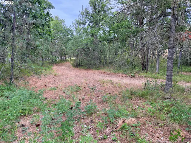 a view of a yard with a tree