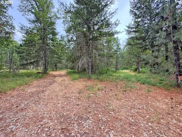 a view of a yard with a tree