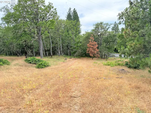 a backyard of a house with lots of green space