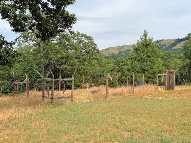 a view of a yard with a tree