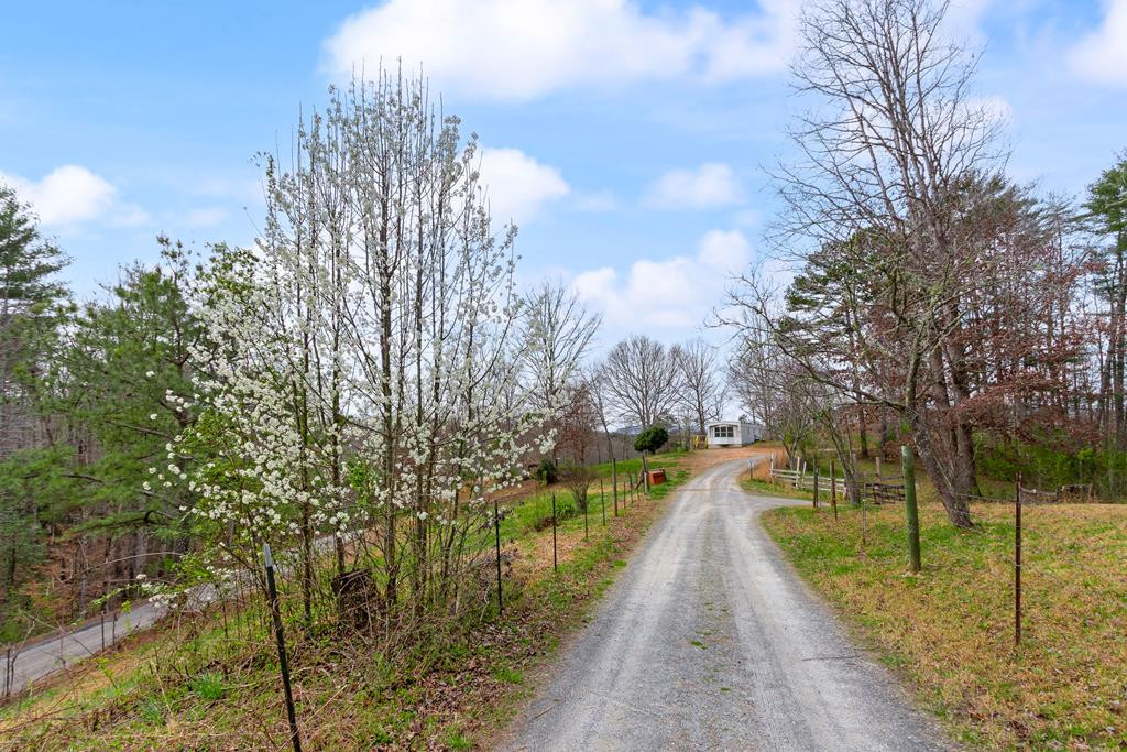 323 Snow Hill Church Road Murphy, NC 28906 - Photo 2 of 37