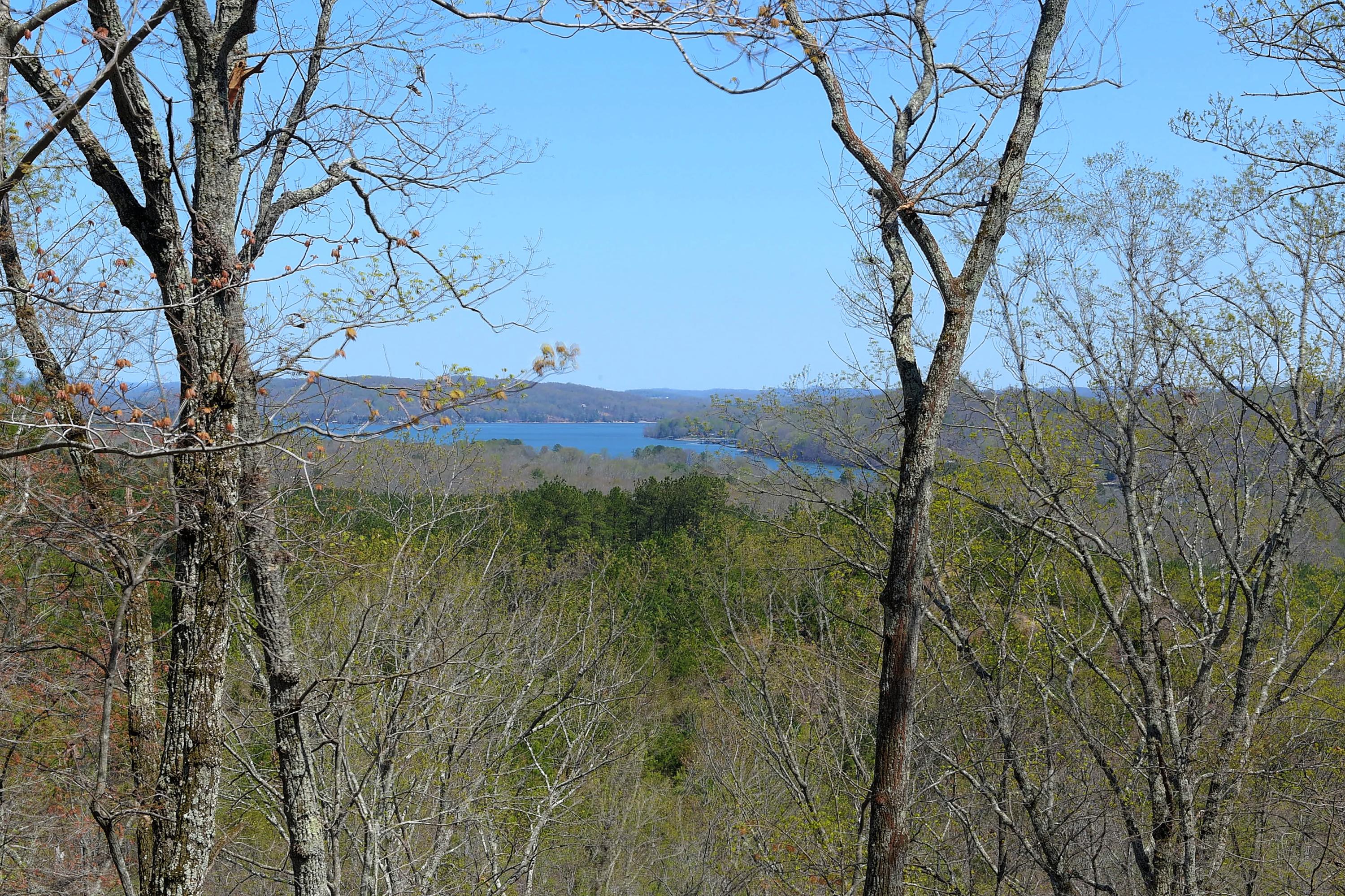 3052 Rocky Springs Road Spring City, TN 37381 - Photo 13 of 13 3052 rocky springs view.jpg