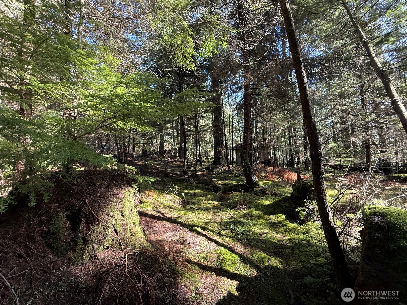 2000 Peregrine Road Orcas Island, WA 98279 - Photo 11 of 31 a view of swimming pool with a yard