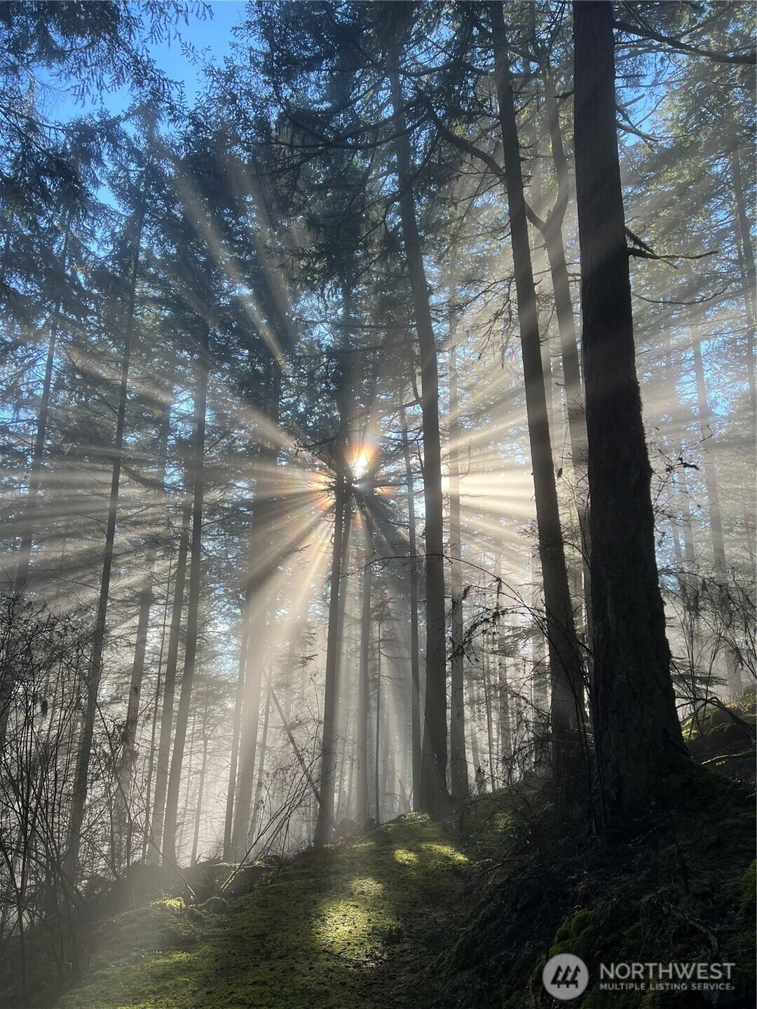 2000 Peregrine Road Orcas Island, WA 98279 - Photo 13 of 31 a view of outdoor space and yard