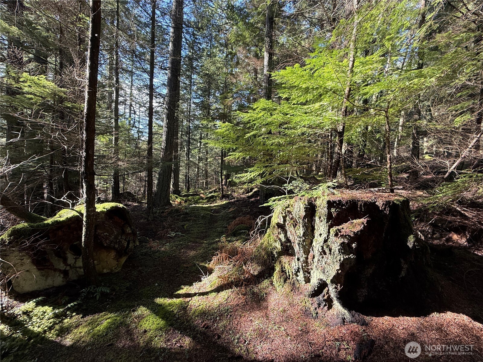 2000 Peregrine Road Orcas Island, WA 98279 - Photo 14 of 31 a view of outdoor