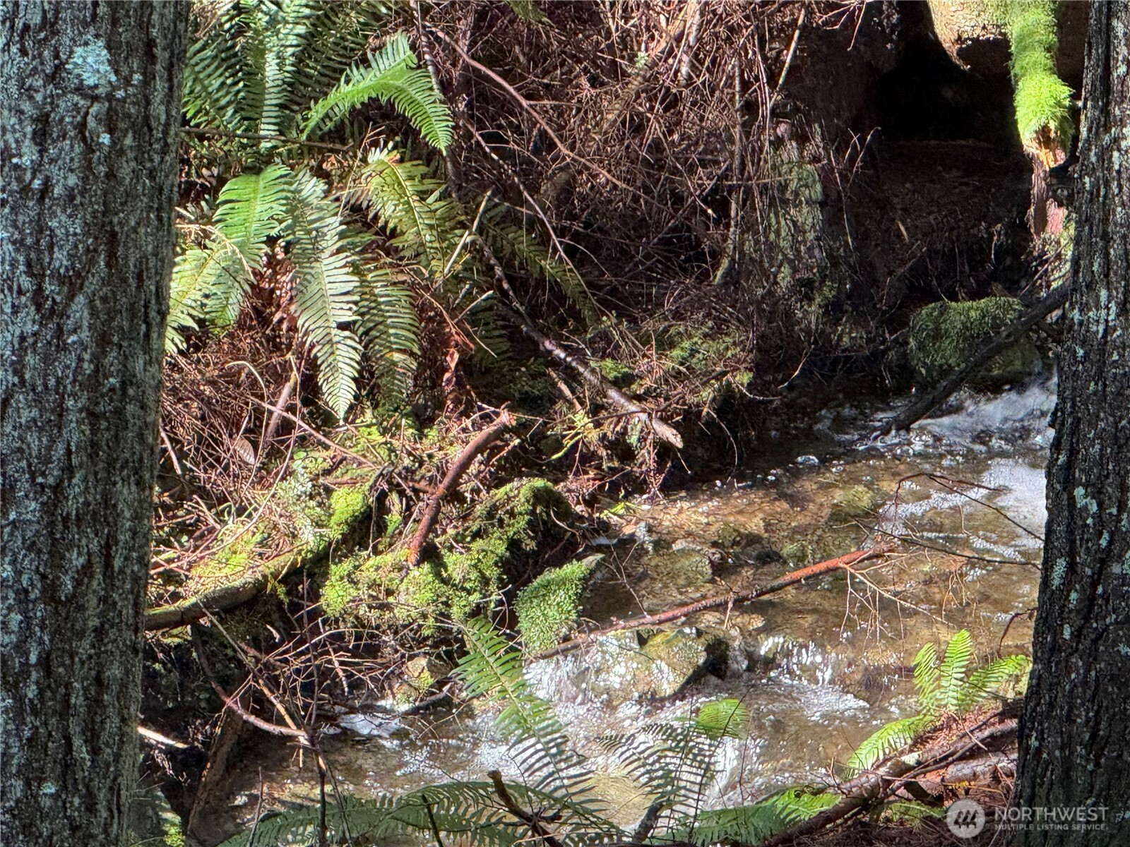 2000 Peregrine Road Orcas Island, WA 98279 - Photo 15 of 31 a backyard of a house