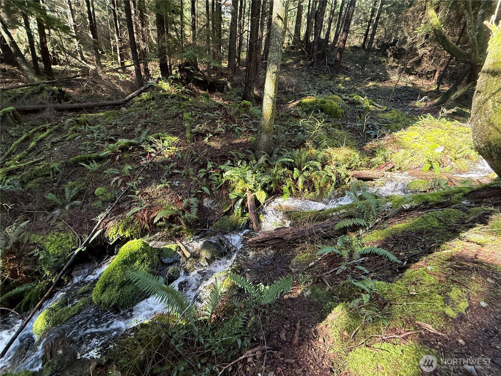 2000 Peregrine Road Orcas Island, WA 98279 - Photo 16 of 31