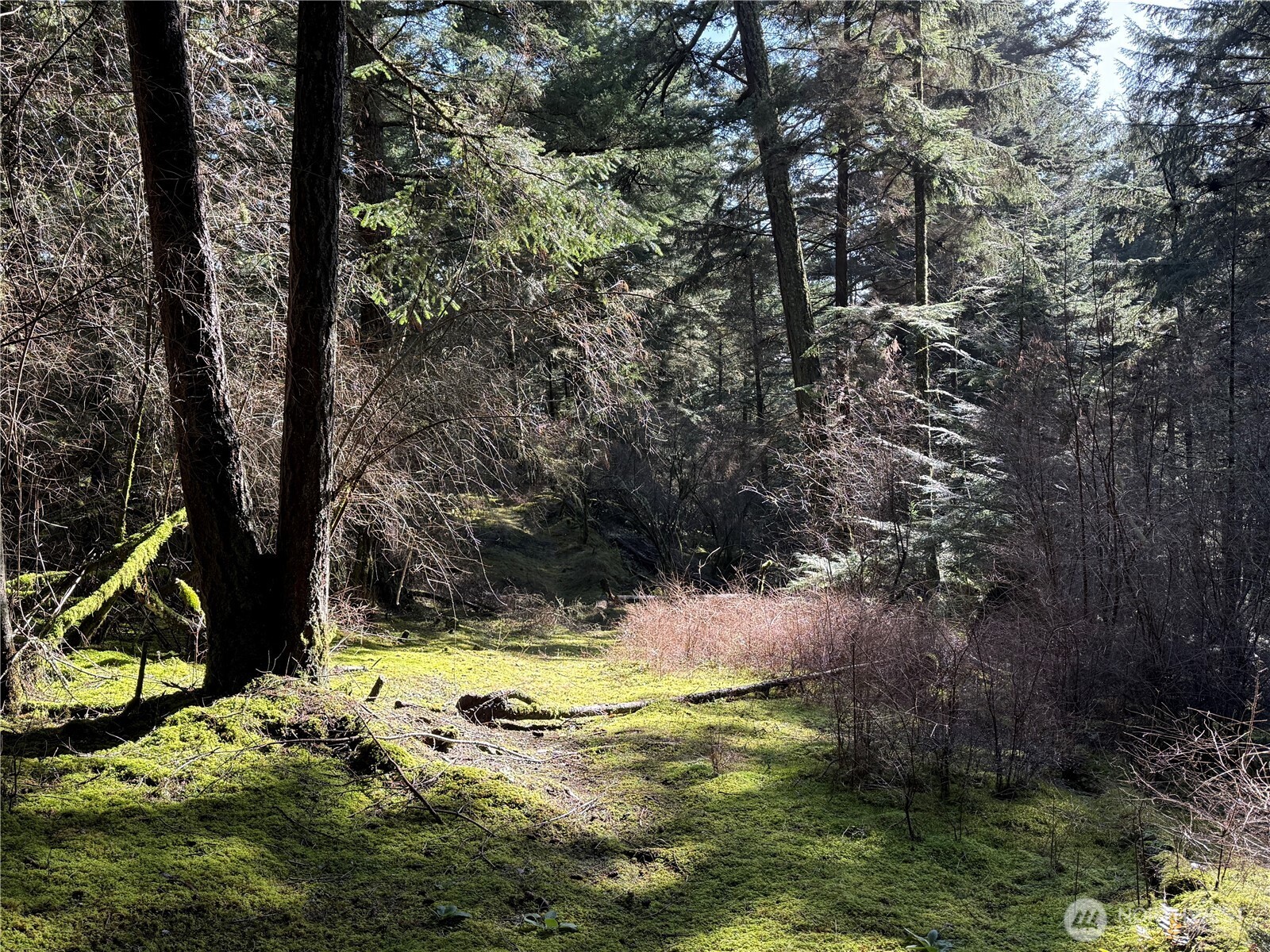 2000 Peregrine Road Orcas Island, WA 98279 - Photo 19 of 31 a view of swimming pool with a yard