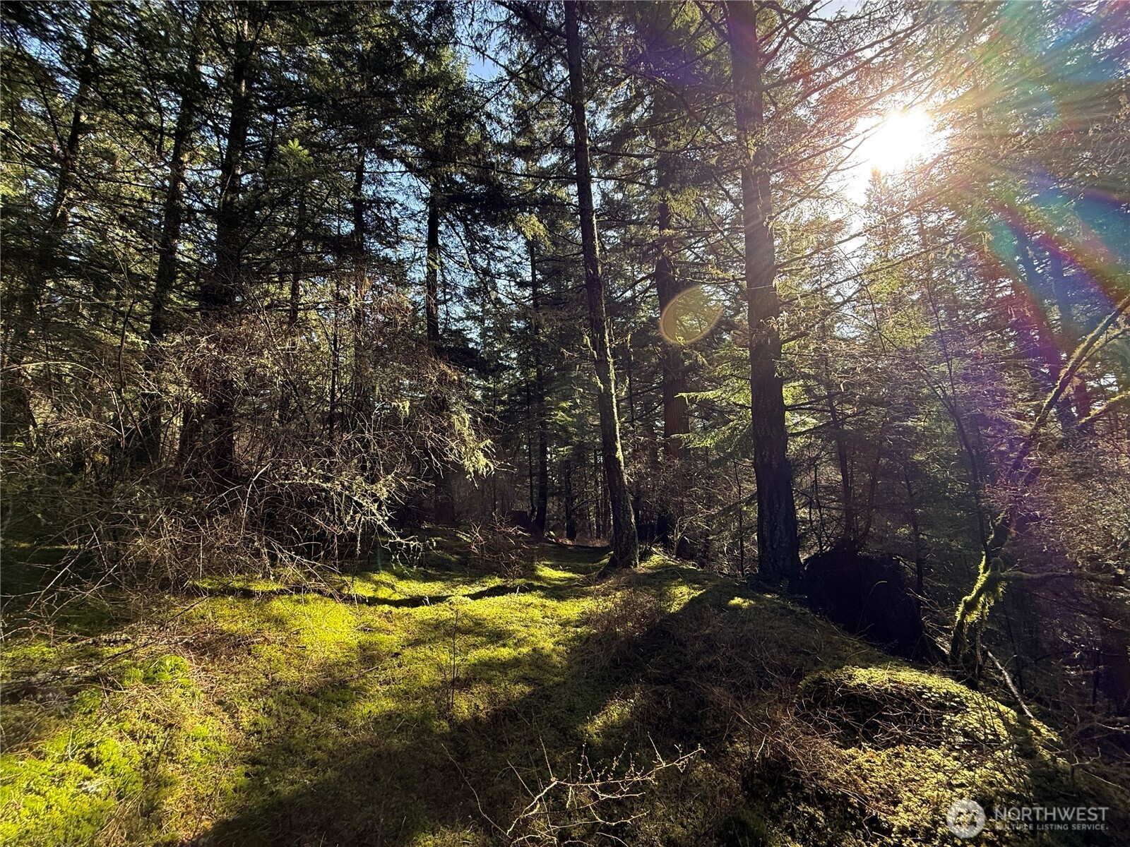 2000 Peregrine Road Orcas Island, WA 98279 - Photo 20 of 31 a view of swimming pool with lawn chairs and trees