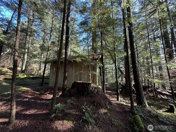 a view of a backyard of the house