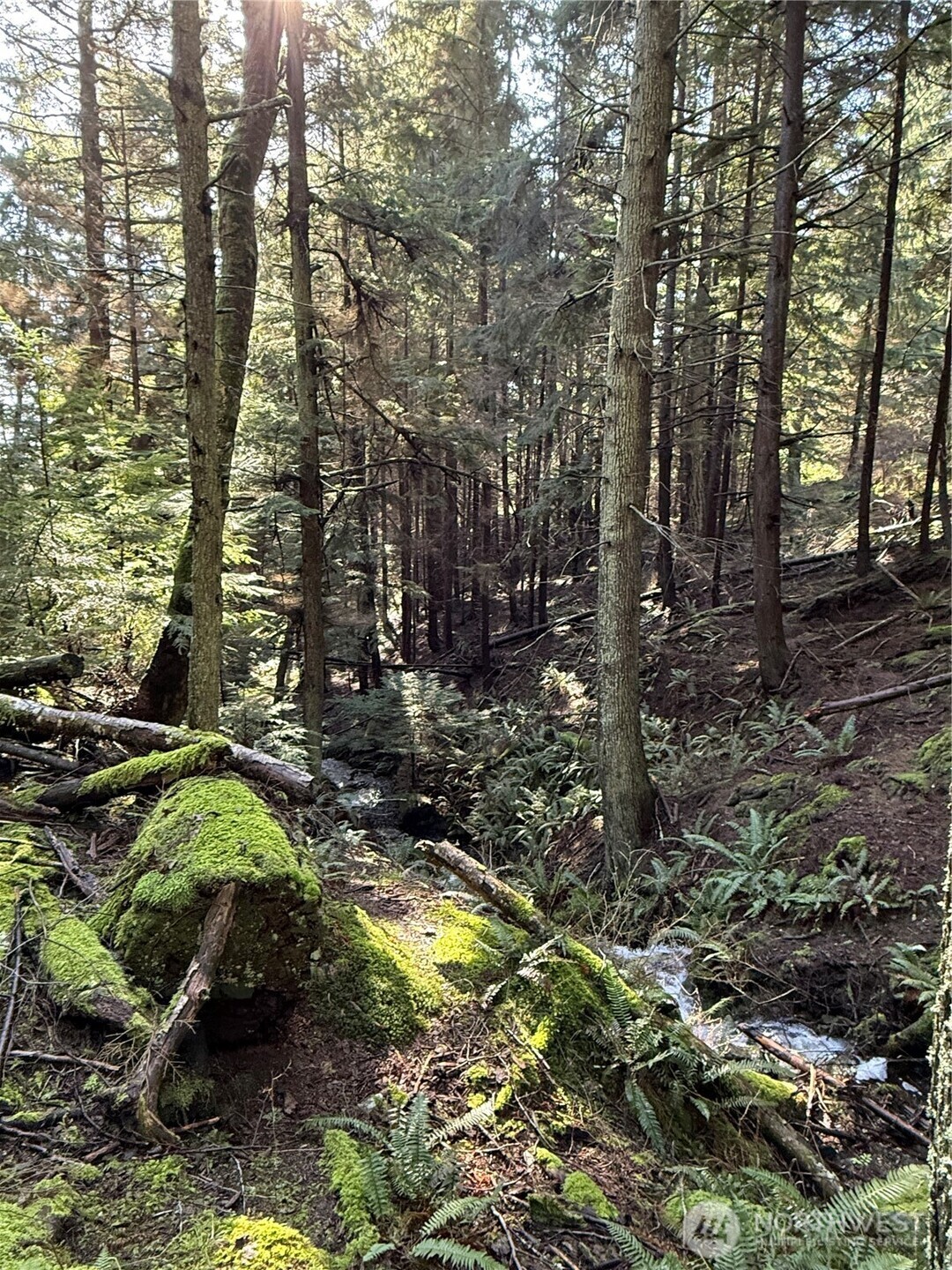 2000 Peregrine Road Orcas Island, WA 98279 - Photo 21 of 31 a backyard of a house with lots of green space