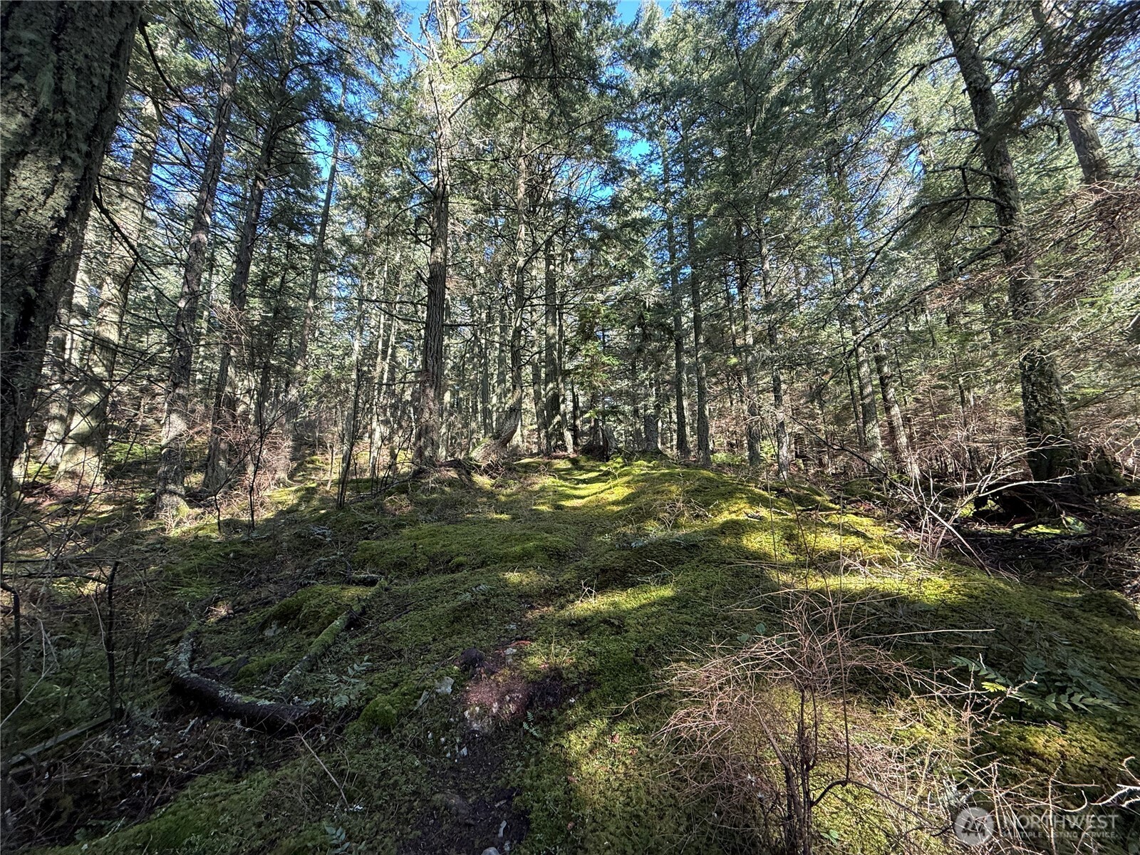 2000 Peregrine Road Orcas Island, WA 98279 - Photo 22 of 31 a view of yard next to a building