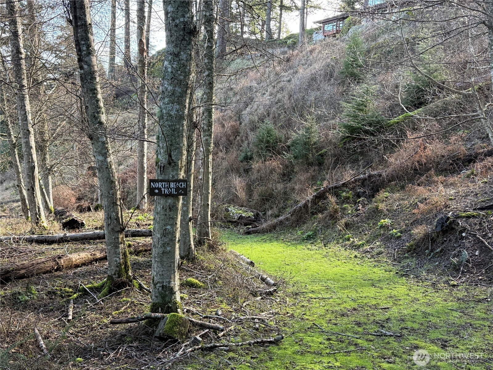 2000 Peregrine Road Orcas Island, WA 98279 - Photo 28 of 31 a view of a back yard