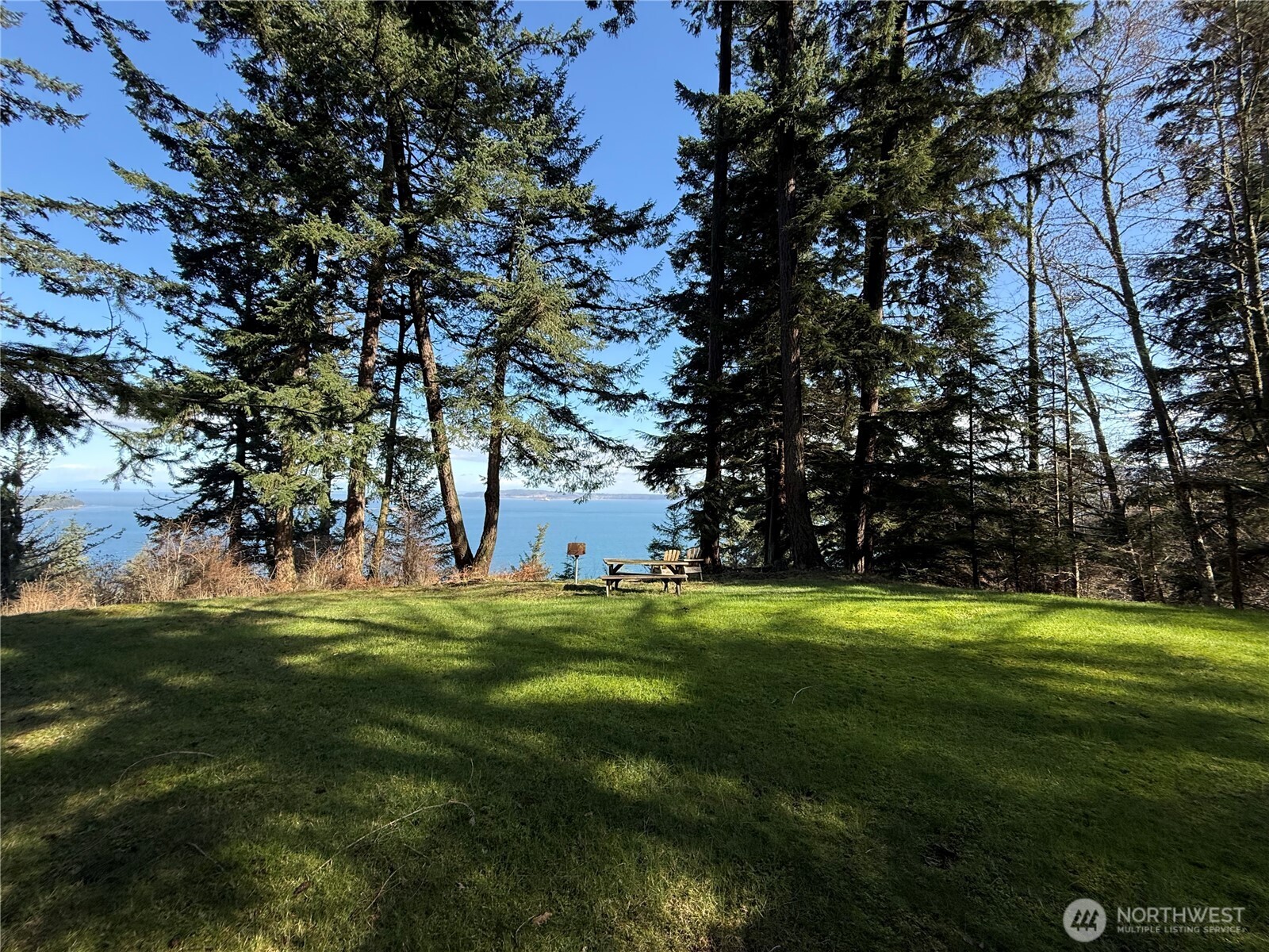2000 Peregrine Road Orcas Island, WA 98279 - Photo 29 of 31 a grassy field with an trees
