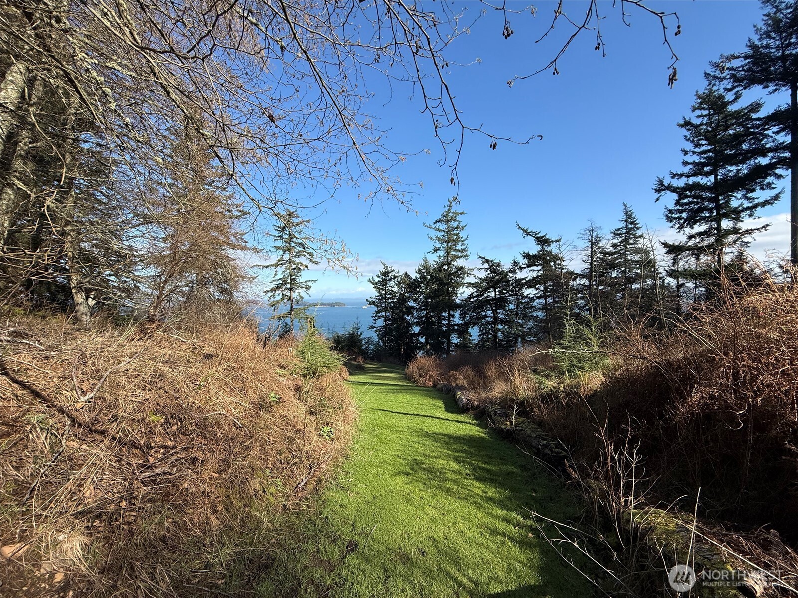 2000 Peregrine Road Orcas Island, WA 98279 - Photo 30 of 31 a view of a yard with plants and a large tree