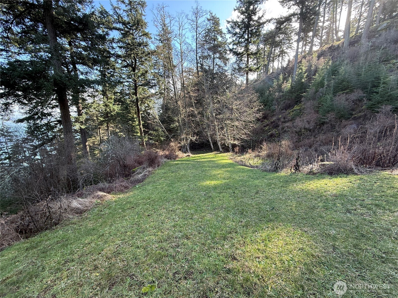 2000 Peregrine Road Orcas Island, WA 98279 - Photo 31 of 31 a view of an outdoor space and a yard