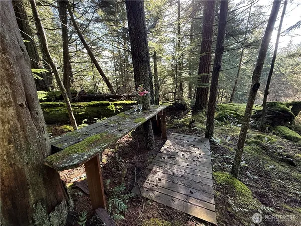 a view of outdoor space and yard