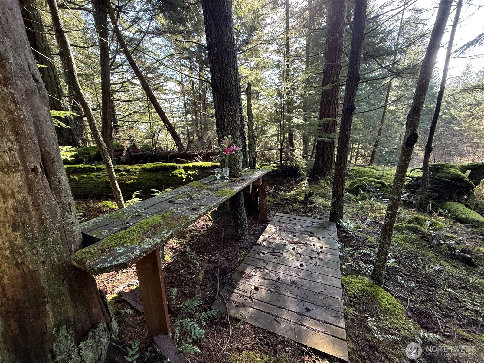 2000 Peregrine Road Orcas Island, WA 98279 - Photo 6 of 31 a view of outdoor space and yard