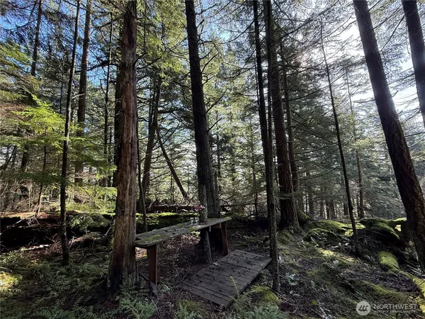 a view of outdoor space with lots of trees