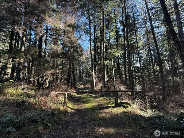 a view of a fire pit with large trees