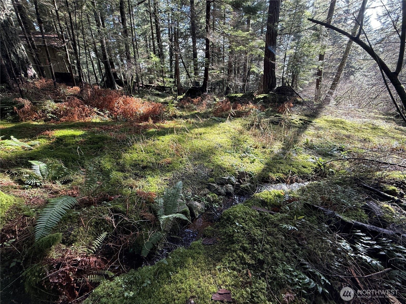2000 Peregrine Road Orcas Island, WA 98279 - Photo 10 of 31 a view of outdoor space with a yard