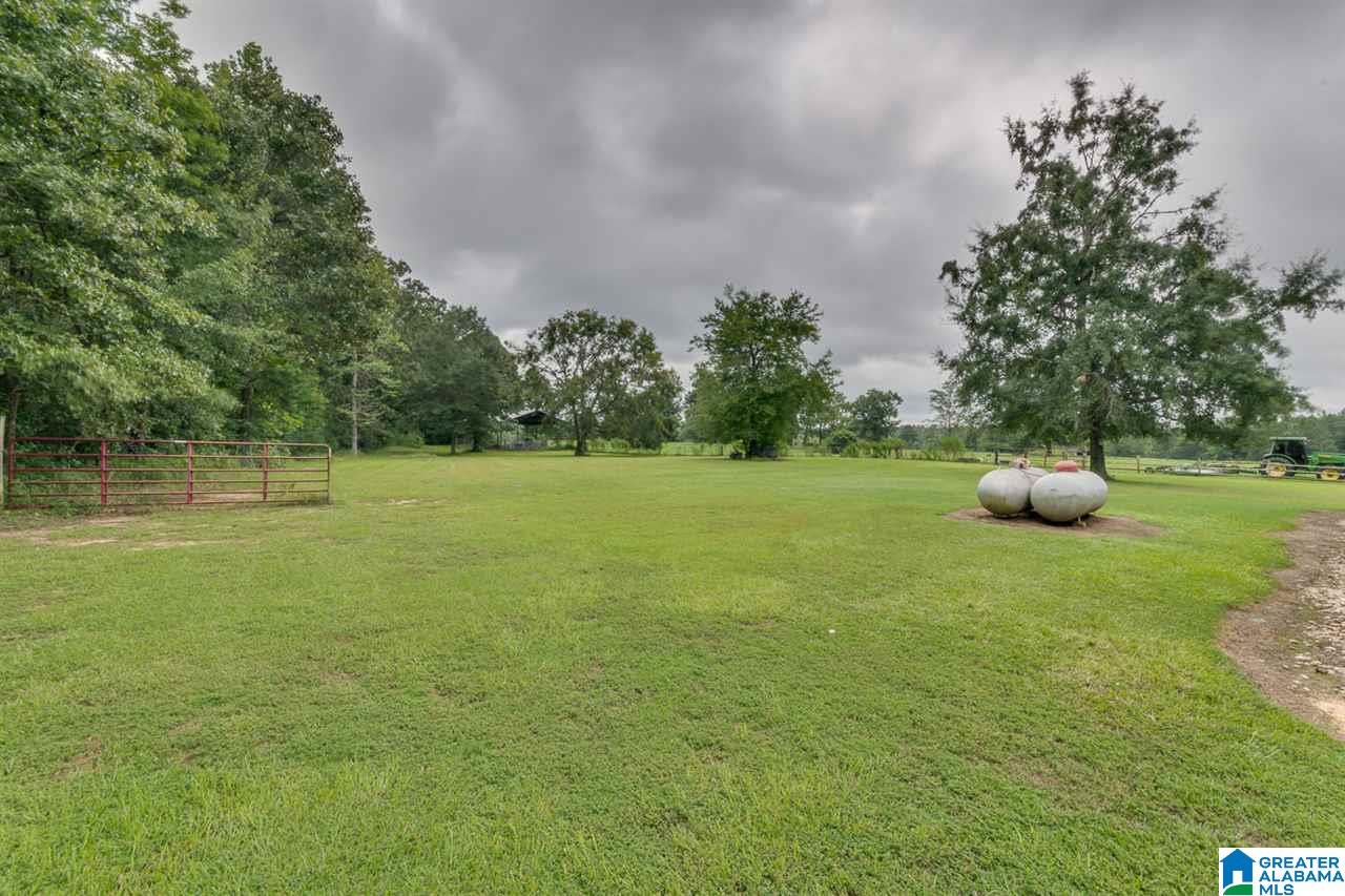 200 County Road 976 Jemison, AL 35085 - Photo 46 of 49