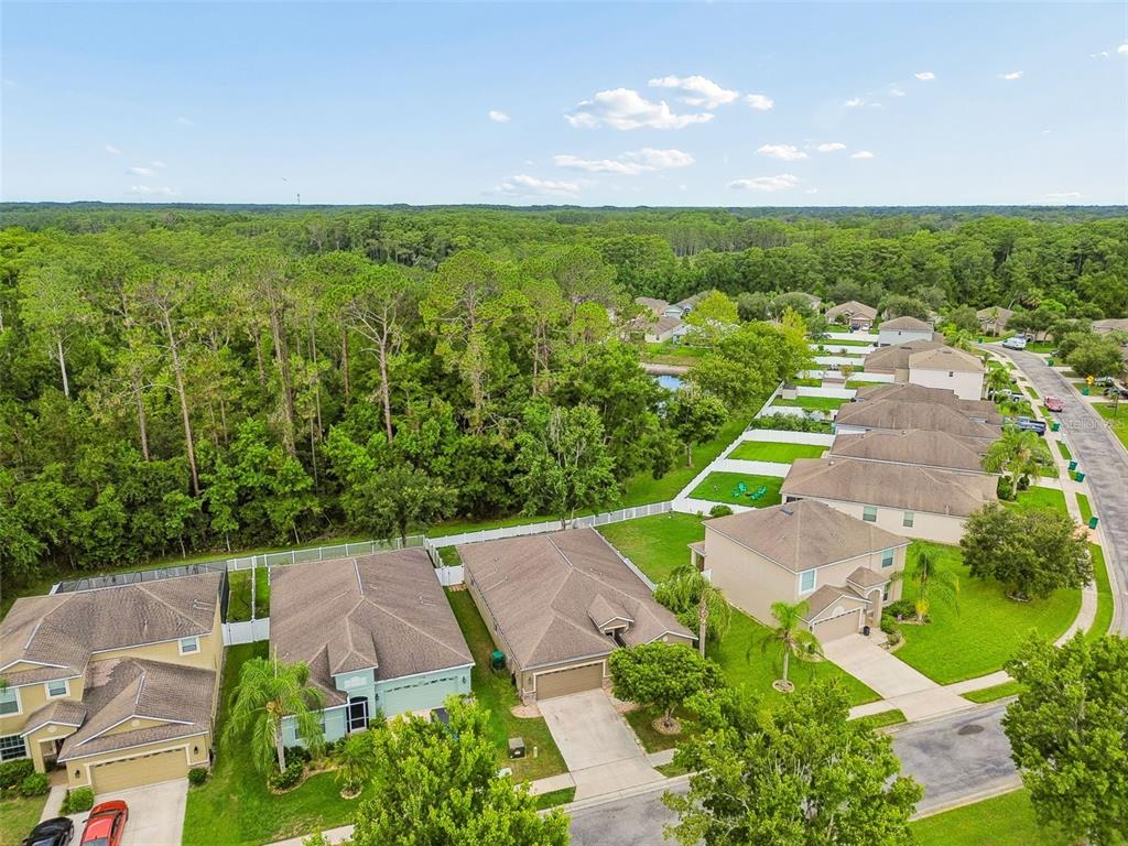 12815 White Bluff Road Hudson, FL 34669 - Photo 61 of 65