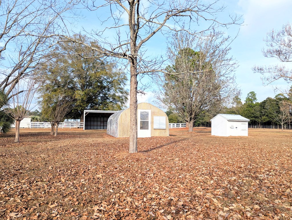 3117 Holland Road Newton, AL 36352 - Photo 66 of 71