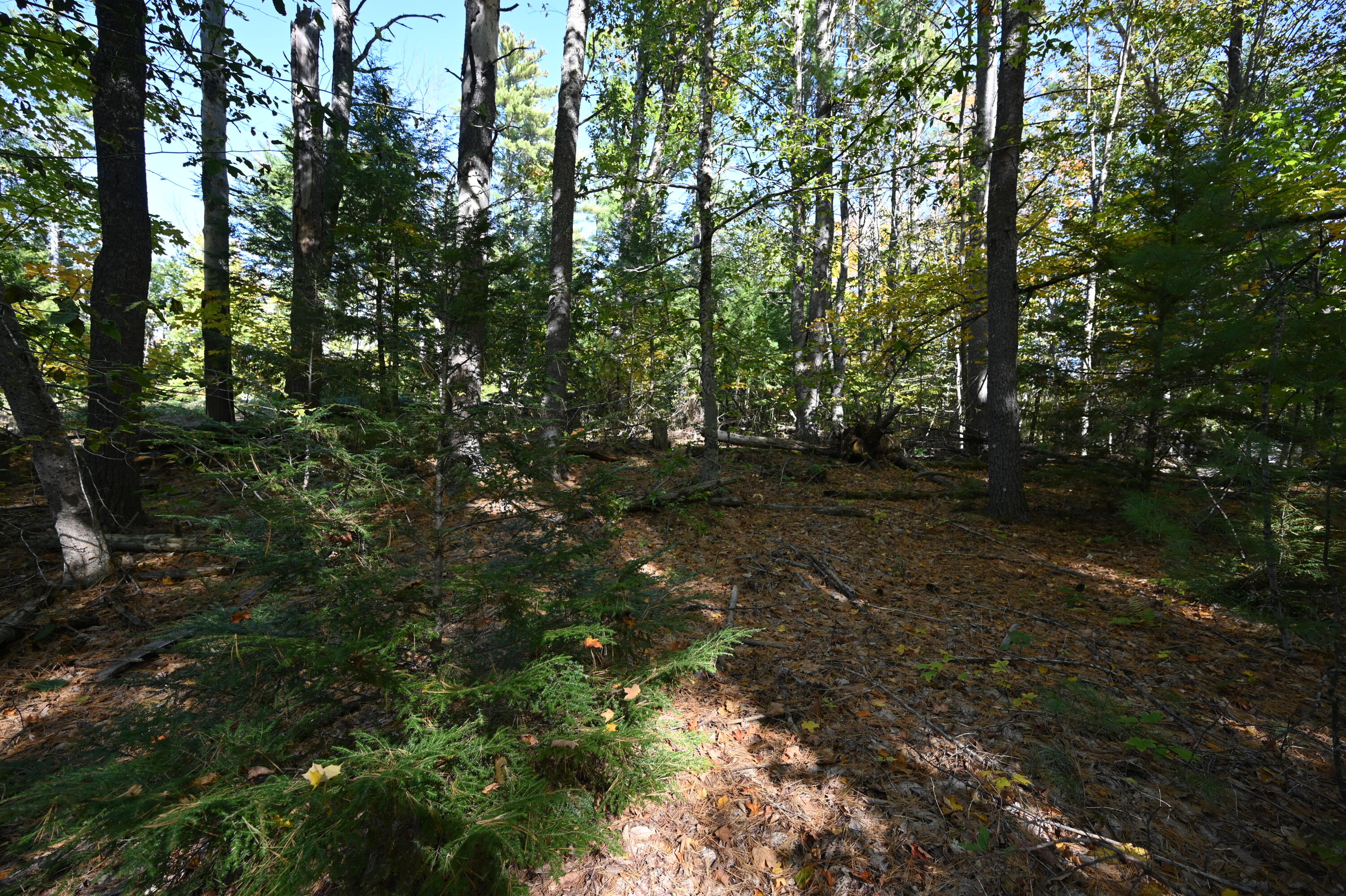 411 Middle Road Standish, ME 04085 - Photo 6 of 9 DSC_6772