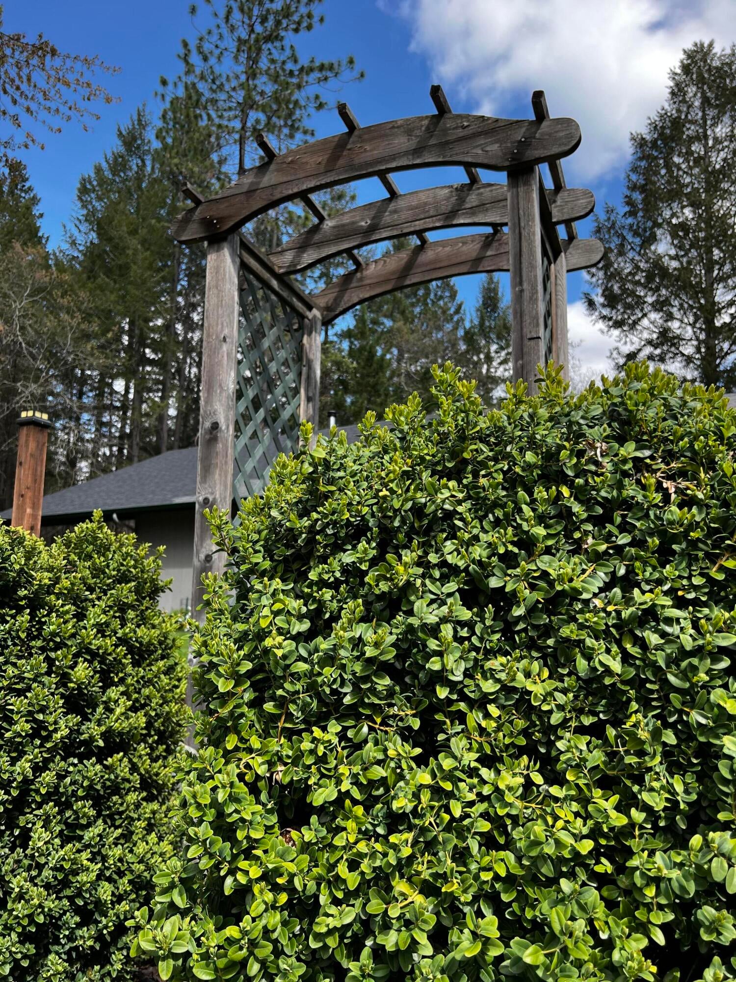 185 Stewart Road Grants Pass, OR 97526 - Photo 45 of 46 IMG_3325
