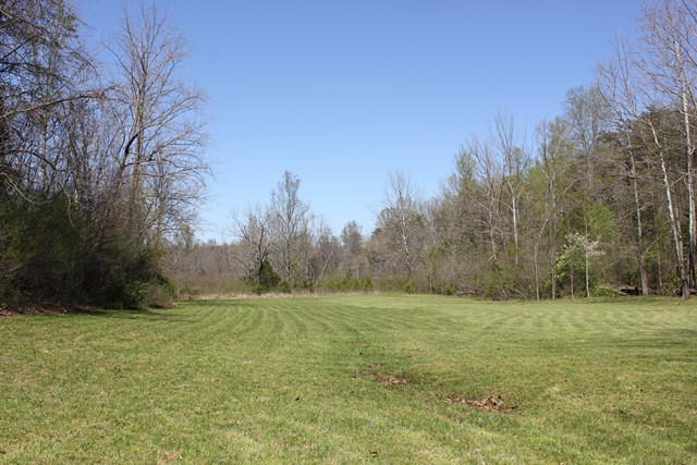 955 Toms Knob Road Rocky Mount, VA 24151 - Photo 25 of 31 Lower Meadow near Stream