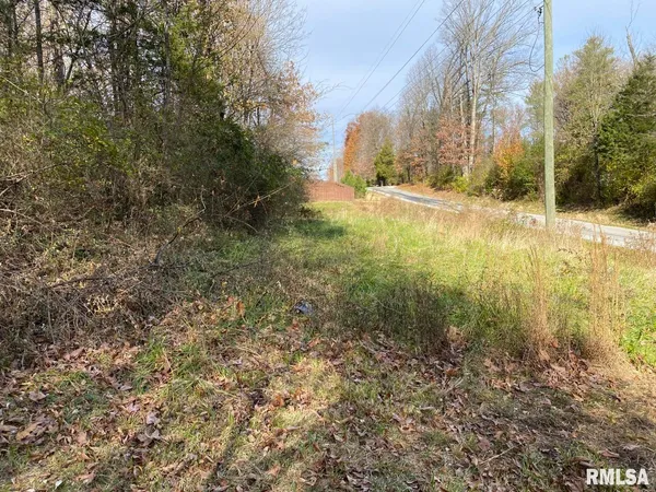 a view of a yard with trees