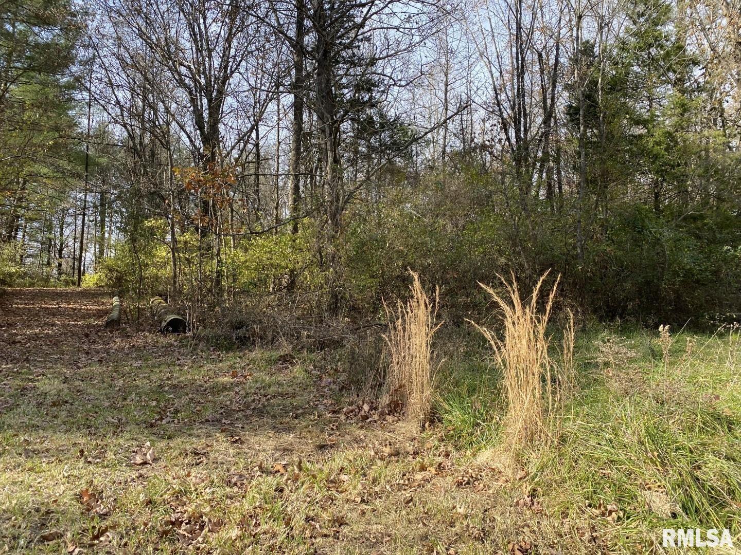 0 Wood Road Murphysboro, IL 62966 - Photo 4 of 8