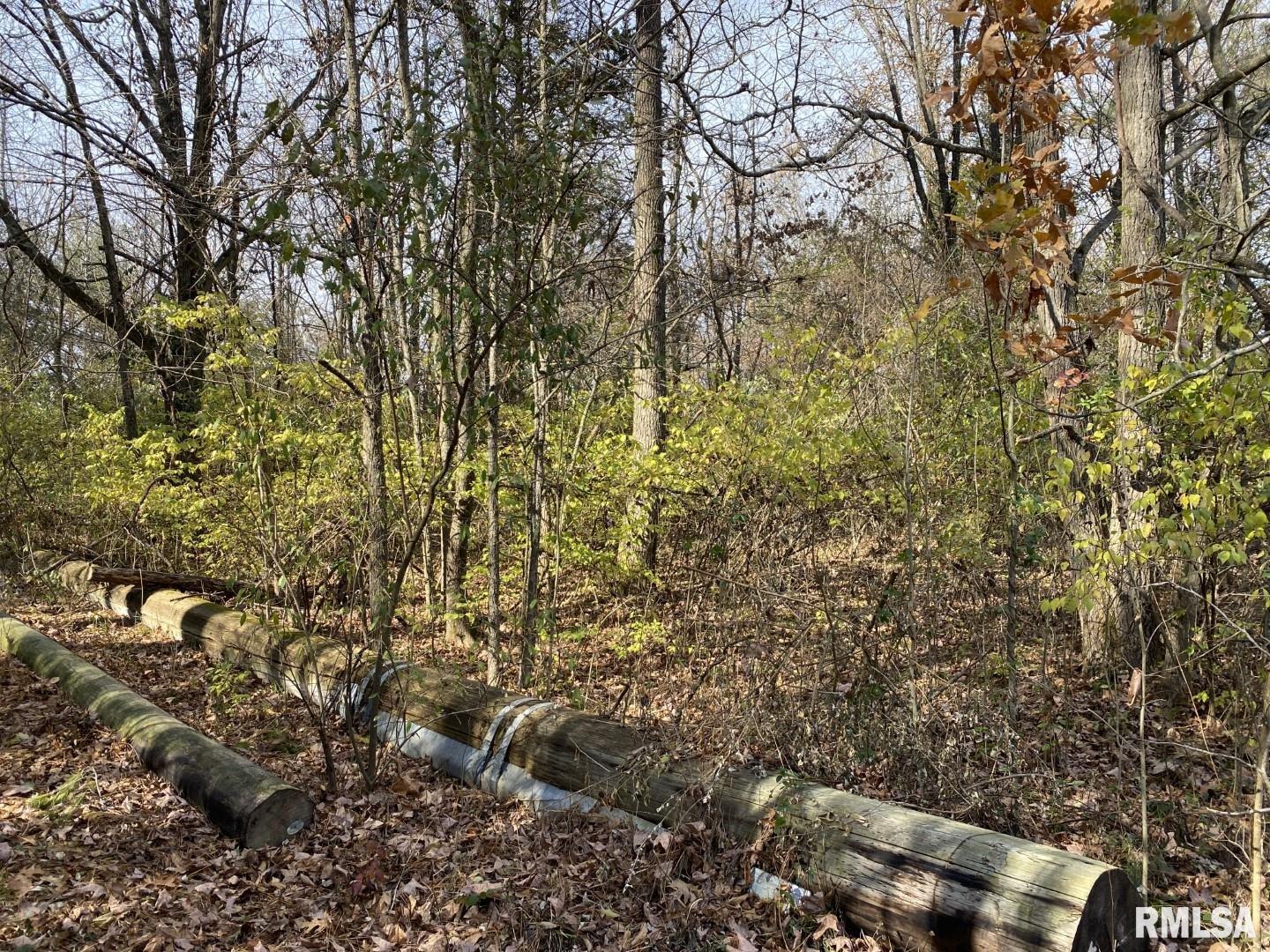 0 Wood Road Murphysboro, IL 62966 - Photo 5 of 8