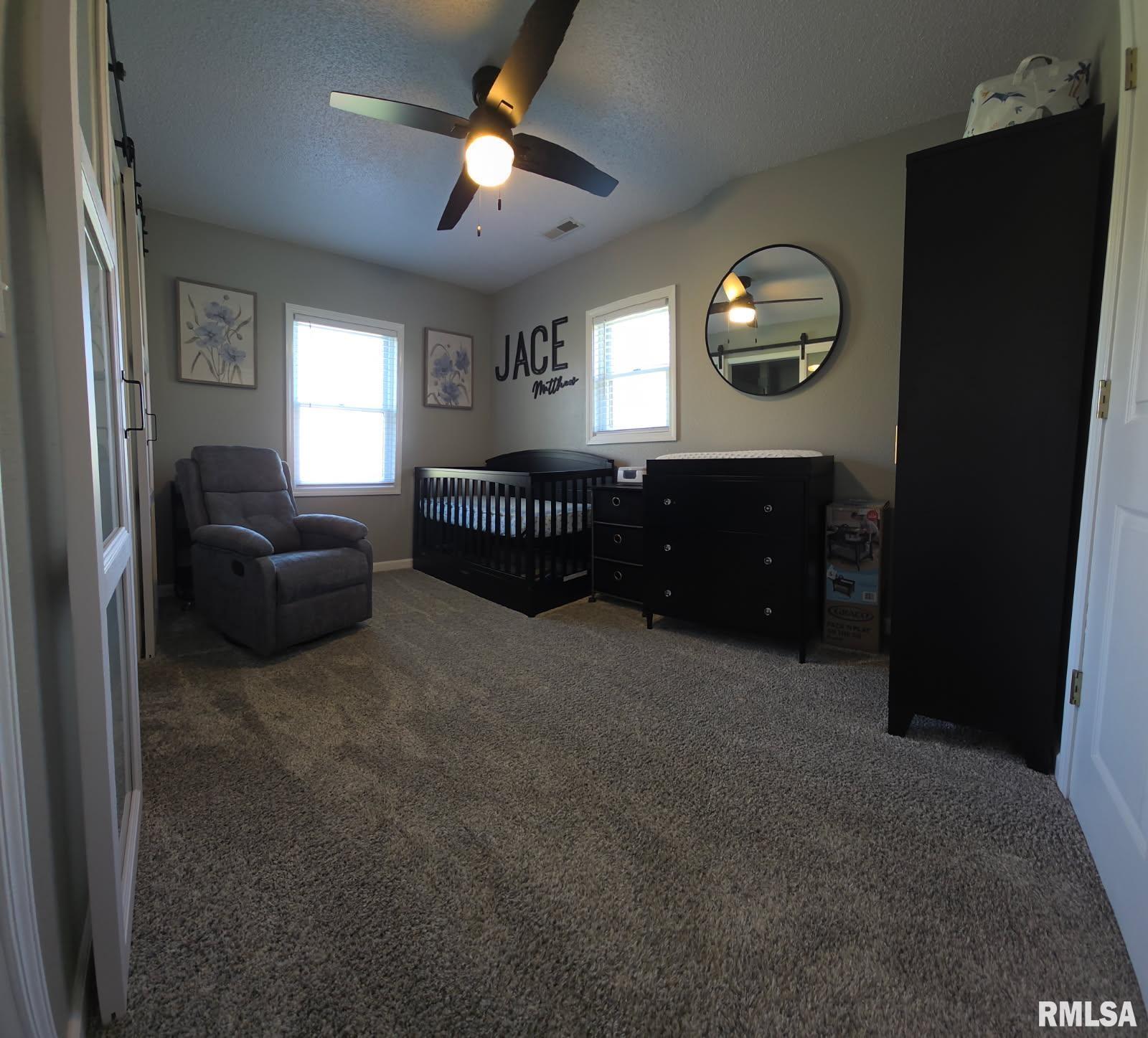 3009 Dalmation Road Pinckneyville, IL 62274 - Photo 11 of 22 Gallery Image 11