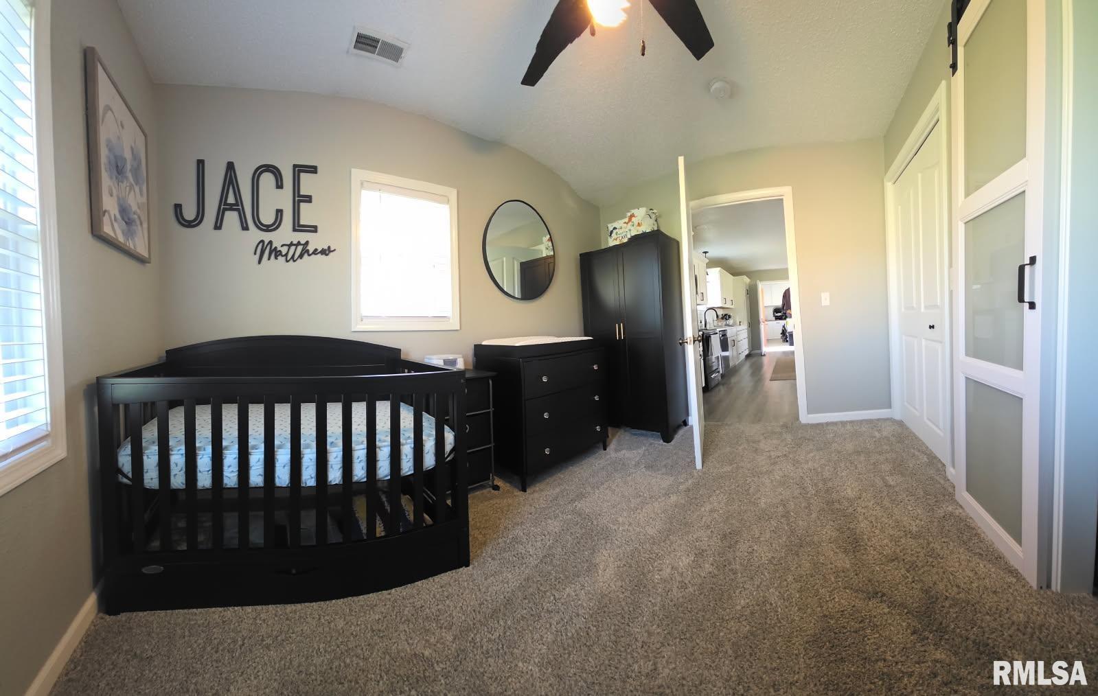 3009 Dalmation Road Pinckneyville, IL 62274 - Photo 12 of 22 Gallery Image 12