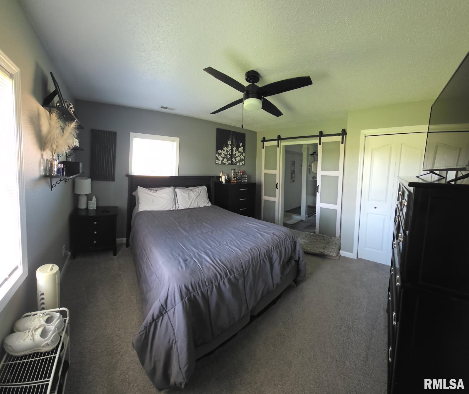 3009 Dalmation Road Pinckneyville, IL 62274 - Photo 9 of 22 Gallery Image 9