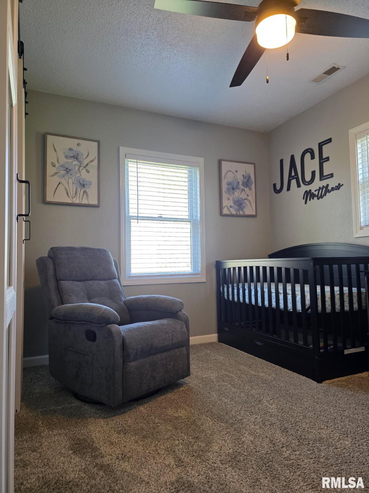 3009 Dalmation Road Pinckneyville, IL 62274 - Photo 10 of 22 Gallery Image 10