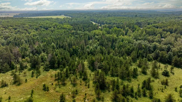 $75,000 | 87 Backus Mn 56435, Backus, MN 56435