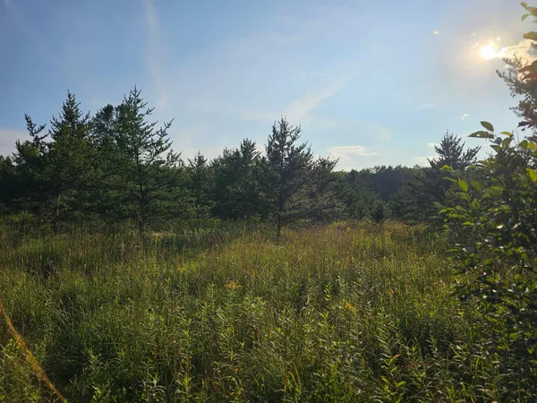 $75,000 | 87 Backus Mn 56435, Backus, MN 56435