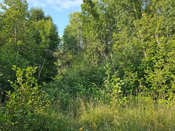 $75,000 | 87 Backus Mn 56435, Backus, MN 56435