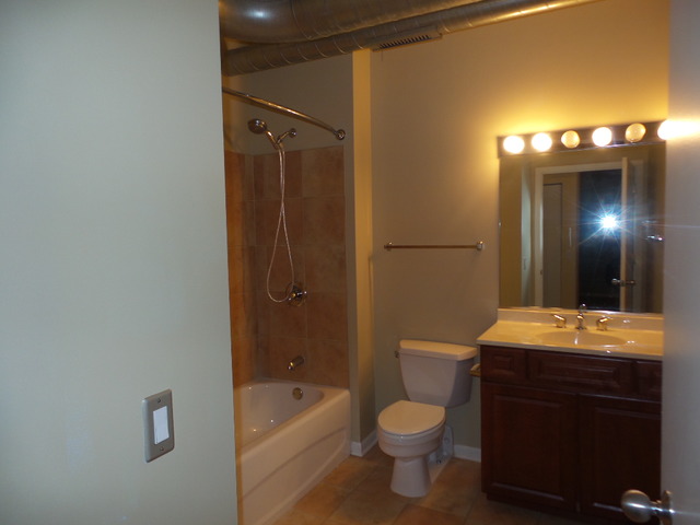 1200 West Monroe Street, Unit 803 Chicago, IL 60607 - Photo 6 of 12 a bathroom with a sink a toilet and shower