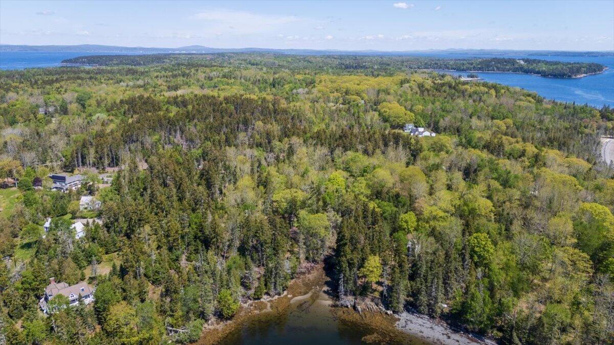 22 Map Lane Islesboro, ME 04848 - Photo 10 of 20 6-Big tree ln update-13