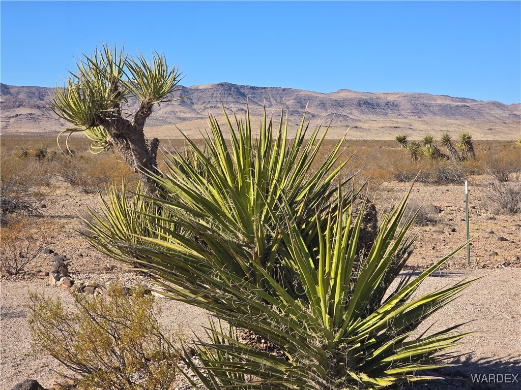 4937 Eden Road Golden Valley, AZ 86413 - Photo 87 of 97 View